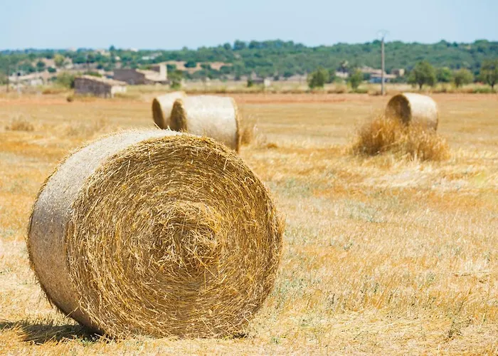 218 Casa Confitets Etv8907 By Mallorca Charme