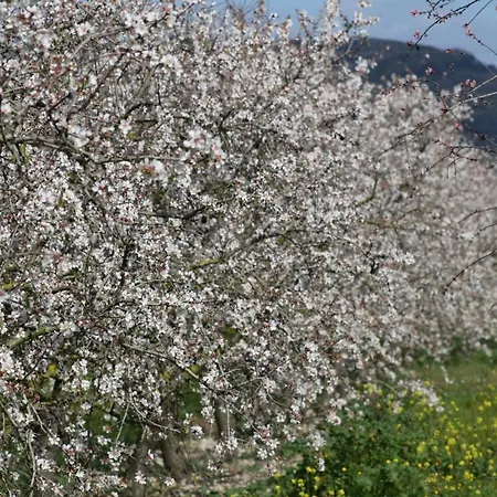 218 Casa Confitets Etv8907 By Mallorca Charme