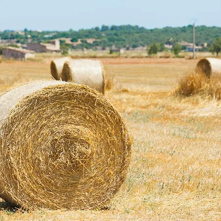 218 Casa Confitets Etv8907 By Mallorca Charme